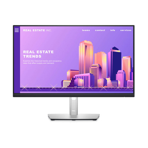 Dell 24 Monitor